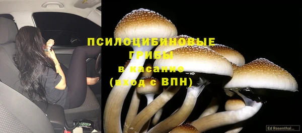 СК Баксан