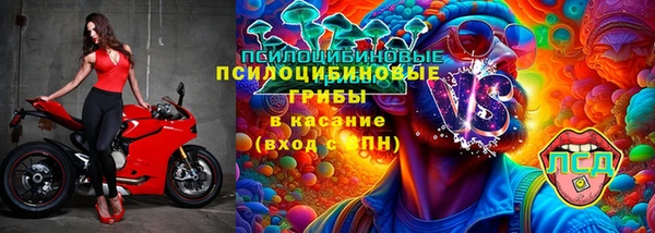 хмурый Балабаново