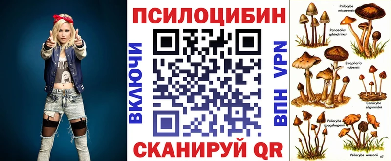 Псилоцибиновые грибы Psilocybe  Сланцы 
